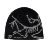 Шапка Arc'teryx Bird Head Toque