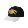 Унісекс Бейсболка Carhartt WIP LECTURE CAP
