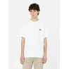 Чоловіча футболка Dickies Summerdale Ss Tee