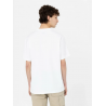 Чоловіча футболка Dickies Summerdale Ss Tee