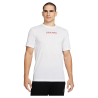 Чоловіча футболка Nike Training T-Shirt White