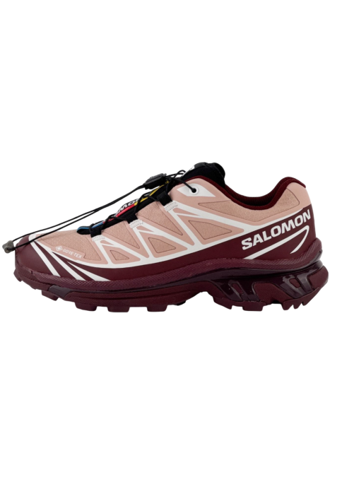 Salomon XT-6 Gore-tex