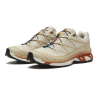 Кросівки чоловічі Salomon XT-6 Gore-tex