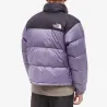 Чоловіча куртка The North Face 1996 Retro Nuptse 700