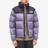 Чоловіча куртка The North Face 1996 Retro Nuptse 700