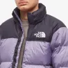 Чоловіча куртка The North Face 1996 Retro Nuptse 700