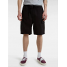 Чоловічі шорти Vans Range Cargo Loose Short