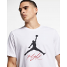 Футболка чоловіча Jordan Jumpman Flight Men's T-Shirt (AO0664-100)