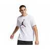 Футболка чоловіча Jordan Jumpman Flight Men's T-Shirt (AO0664-100)