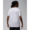 Футболка чоловіча Jordan Brand Ss Hbr Crew (FN6025-100)