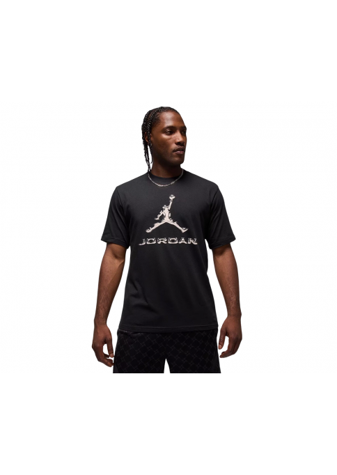 Футболка чоловіча Jordan Dri-Fit (HQ9091-010)