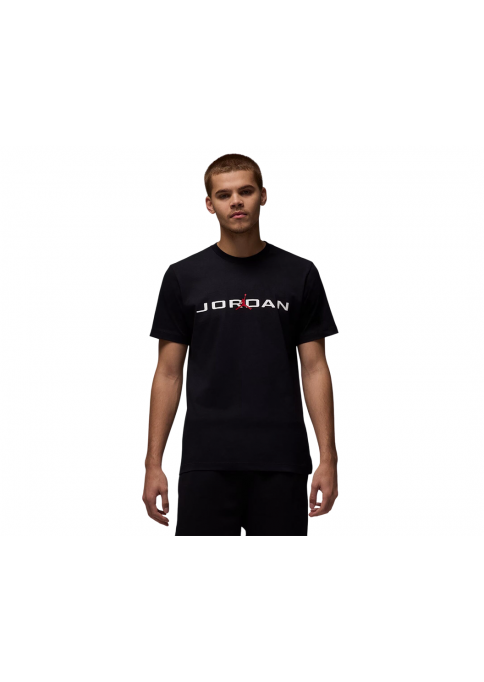 Футболка чоловіча Jordan Air T-Shirt (IB7353-010)