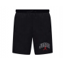 Шорти чоловічі Jordan Brooklyn Fleece (IB7910-010)