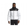 Куртка чоловіча The North Face Men's 1996 Retro Nuptse Jacket (NF0A3C8DLA9)