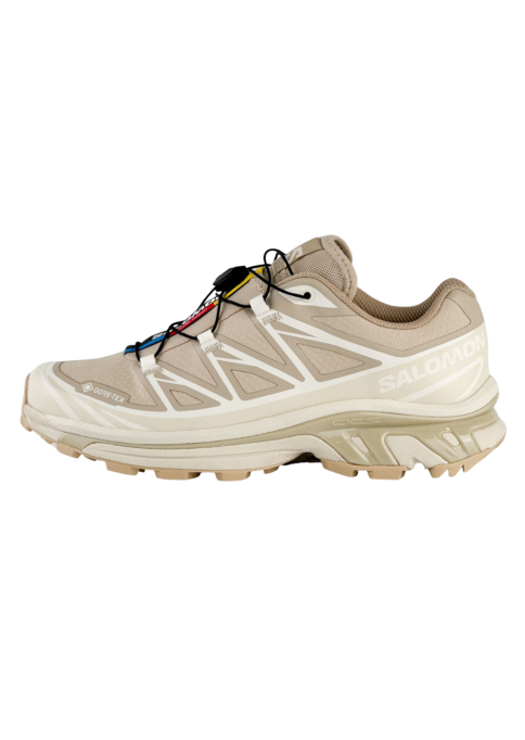 Salomon XT-6 Gore-tex