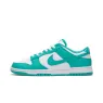 Nike Dunk Low Retro 
