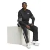 Чоловічі штани Adidas Adicolor Baggy Fit Firebird Track Pants