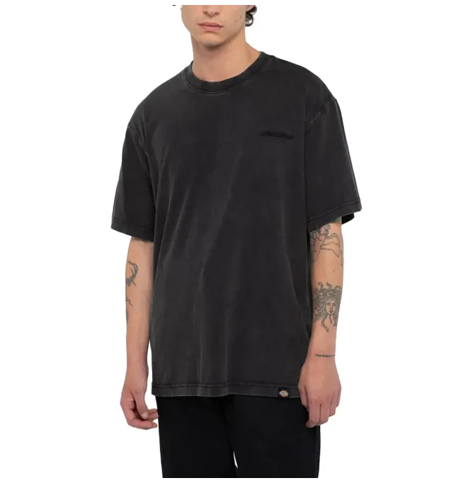 Dickies Plentywood Tee S/S 