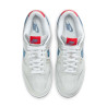 Чоловічі кросівки Nike Dunk Low