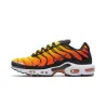 Чоловічі кросівки Nike Air Max Plus