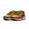 Чоловічі кросівки Nike Air Max Plus