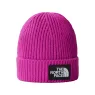 The North Face Box Logo Cuffed Beanie 
